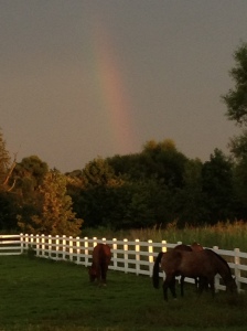 No rain or storm, just a miraculous rainbow to show us that He reigns here!